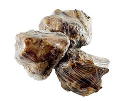Origen estadounidense: res alimentada con pasto de calidad para perros.