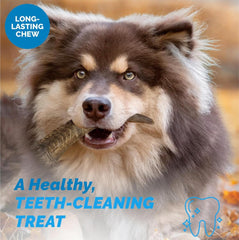 123 Treats apoyo dental para perros al masticar cuernos naturales.