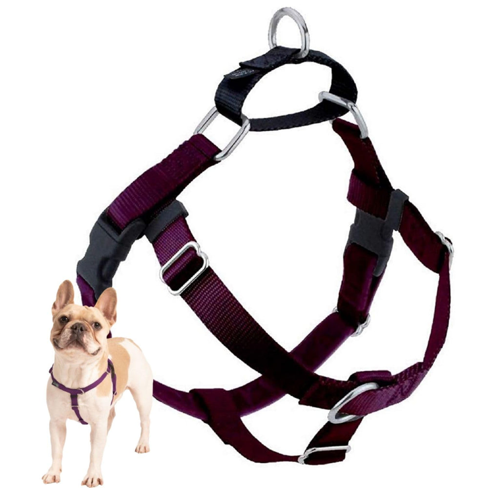 2 Hounds Design Freedom Sin Tirones, vista frontal con ajuste seguro.