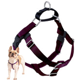 2 Hounds Design Freedom Sin Tirones, vista frontal con ajuste seguro.