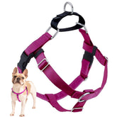 Arnés Freedom sin tirones de 2 Hounds Design, color frambuesa, para paseos suaves.