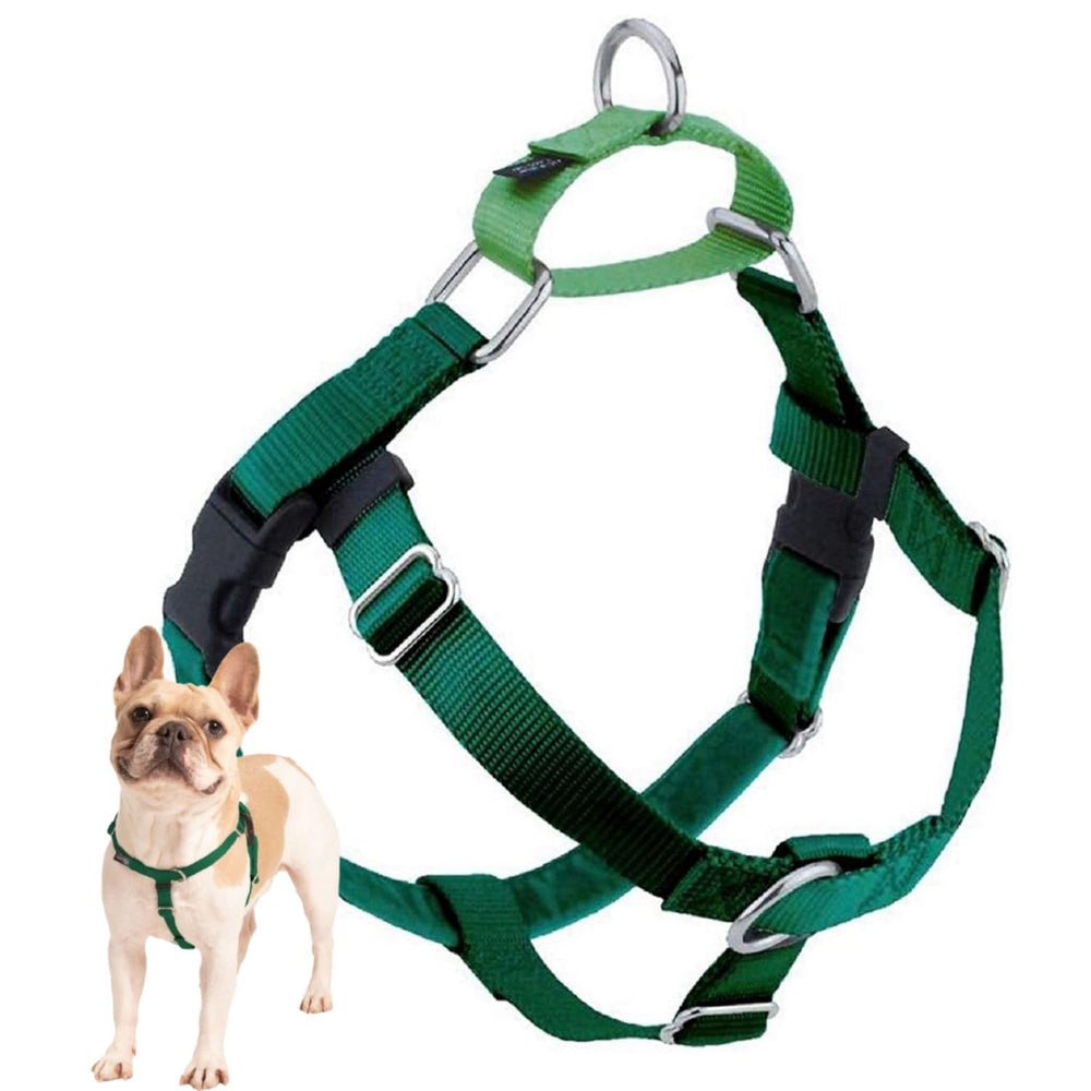 Arnés Freedom de 2 Hounds Design visto de frente, ideal para paseos sin tirar