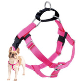 Arnés Freedom de 2 Hounds Design visto frontal con anillo delantero para control