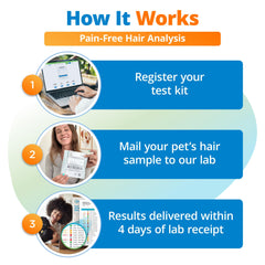 App móvil 5Strands para consultar resultados en cualquier momento.