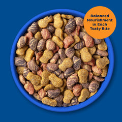 9Lives Daily Essentials proteína de alta calidad para músculos fuertes.