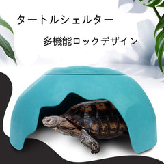OMEM Reptiles House ventilacion superior: flujo de aire eficiente para el terrario.