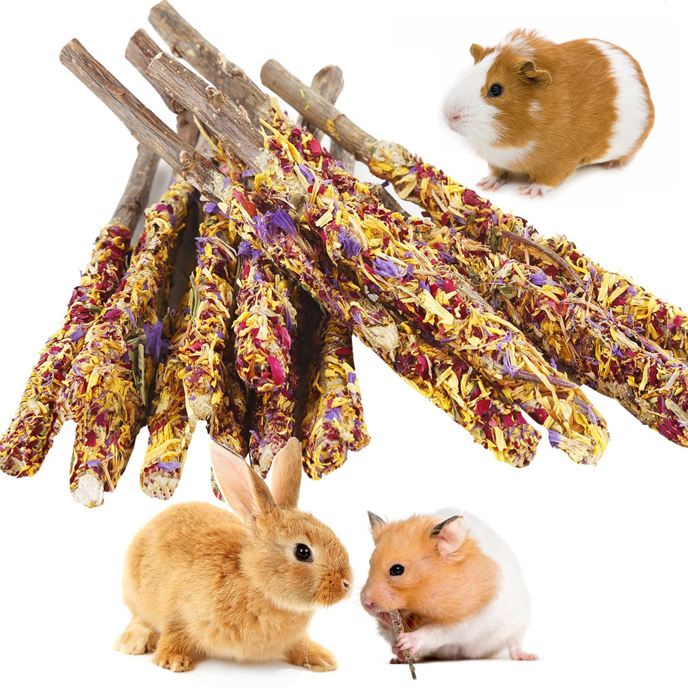 Abizoo Bunny Chew Toys: palitos de manzana con pétalos, para dientes sanos