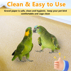 Acsist-papel-de-cuarzo-jaula: lija natural para pico y garras saludables