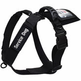 ActiveDogs chaleco con anilla D frontal para control y guía.