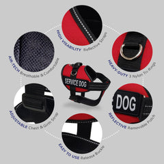 Activedogs porta identificación con clip para rápida identificación