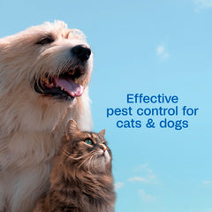 ADAMS Plus soft shiny coat after wash illustrates grooming result