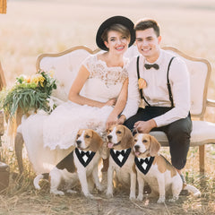 ADOGGYGO Bandana Tuxedo Chien Noir – détail noeud papillon et finition soignée