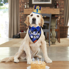 Corona dorada ADOGGYGO con números, estilo festivo para tu mascota