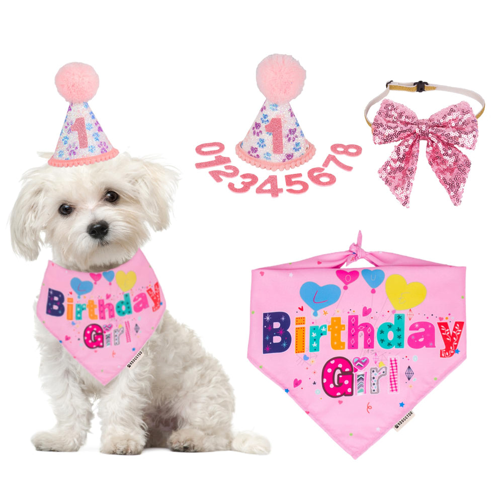 ADOGGYGO sombrero de cumpleaños para perros con números ajustables para fotos