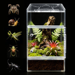 Adoture Terra: terrario para arañas saltarinas con apertura magnética frontal, fácil manejo.