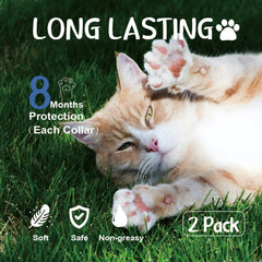 Collar antipulgas Advanllent para gatos, pack de 2 para protección prolongada.
