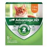 Advantage XD: aplicación en la nuca para gatos pequeños, rápida y segura