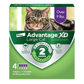 Advantage XD aplicado en la nuca del gato para protección duradera.