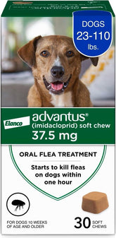 Advantus pastillas orales para pulgas en perros, alivio rápido.