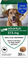 Advantus pastillas orales para pulgas en perros, alivio rápido.
