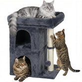Aechonow arbol gato grande con plataforma amplia para observar desde la altura