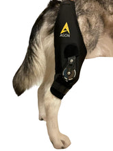 AGON rodillera canina con bisagra ajustable para estabilizar la pierna derecha