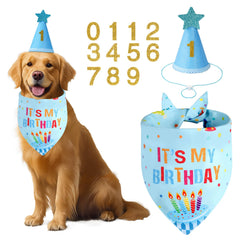 Bandana Agroon para perro grande, colores brillantes para celebrar