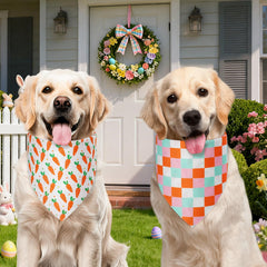 Bandana Agroon Pascua con rayas, colores brillantes para paseos.