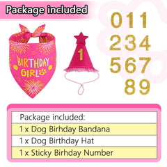 Sombrero de cumpleaños Agroon para perros en rosa con brillo, perfecto para fotos.