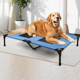 Cama elevada Aimease para perro con malla transpirable en azul, ideal verano