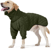 AITOLI abrigo para perro con cremallera trasera ofrece calor y protección.