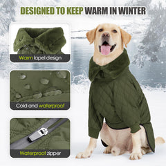 AITOLI tejido impermeable mantiene al perro seco en la lluvia.