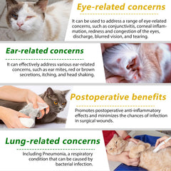 Akareni antibióticos líquidos para gatos con sabor a pollo para facilitar la toma