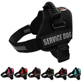 ALBCORP chaleco servicio perro, vista frontal, alta visibilidad para seguridad en exteriores.