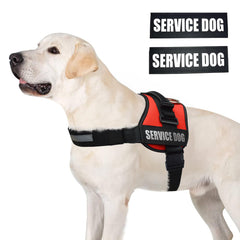 ALBCORP Service Dog Vest vista lateral, ajuste cómodo y control seguro.