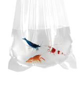 AlfaEx Bolsas para peces de 4 pulgadas con fondo redondeado para transporte estable