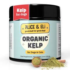 Alice & Eli polvo de alga kelp orgánica para perros, pelaje sano y brillo