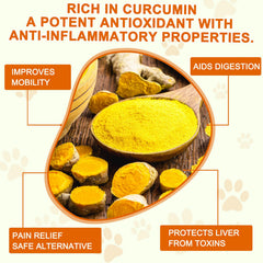 ALIVO Turmeric para perros, etiqueta detallada, ingredientes y dosis para movilidad.