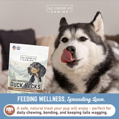 All American Canine cuello de pato color dorado natural: sabor irresistible para perros.