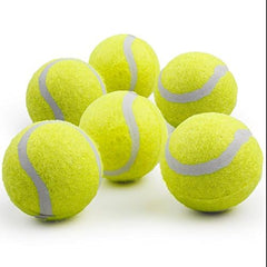 ALL FOR PAWS: pack de 6 pelotas de tenis para perros para paseos y parques