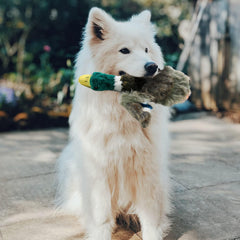 ALL FOR PAWS Patito Sonoro para cachorros, perfecto para mimos y juegos ligeros.