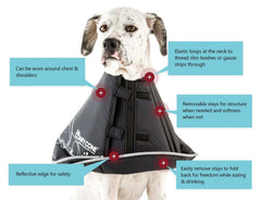 All Four Paws Comfy Cone diseño reversible y ligero para movilidad.