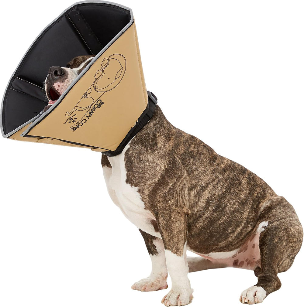 All Four Paws Comfy Cone con interior opaco para tranquilidad durante recuperación.