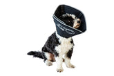 All Four Paws Comfy Cone para recuperación de perro grande, diseño suave.