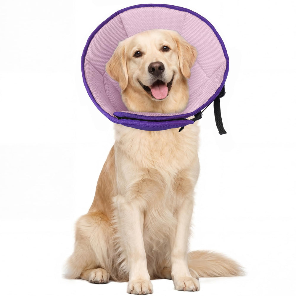 Allroaring collar cono para perro grande con ajuste seguro.