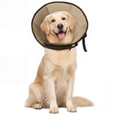 Allroaring collar-cono-perro-grande-postoperatorio: protección suave para sanar.