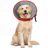 Allroaring cono suave para perros grandes, comodidad continua tras cirugía.