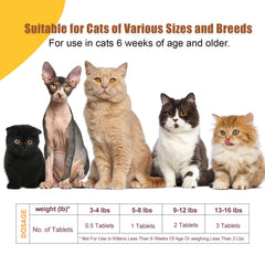 Alltripal Salud Digestiva Gatos: apoya la digestión y la absorción de nutrientes