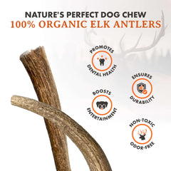 Alpha Dog Nutrition masticación prolongada para perros activos