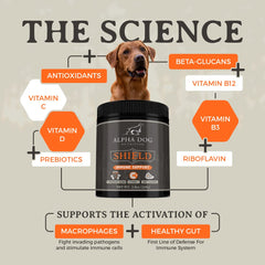 Shield Allergy de Alpha Dog Nutrition, etiqueta detalle, lista de ingredientes y Vitamina C.